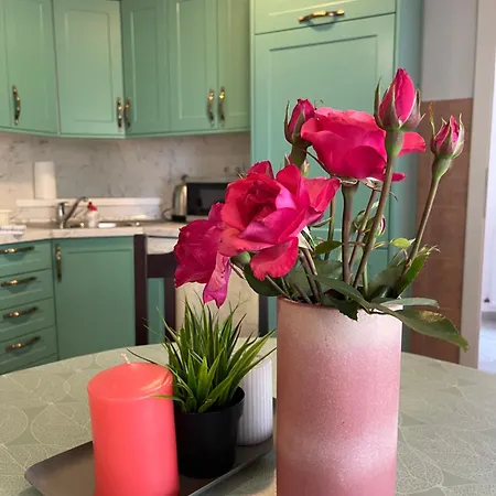 Διαμέρισμα Tara