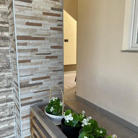 Apartman Tara *