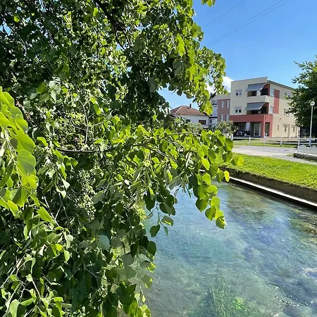 Apartment Tara Bihac